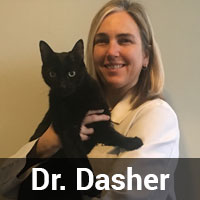 Dr. Dasher